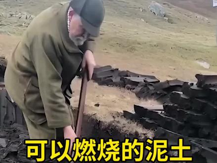 可以燃烧的泥土-泥煤#泥煤 #科普