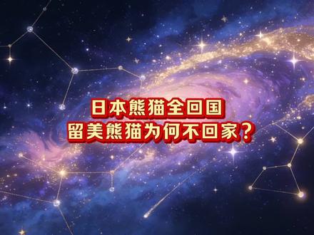 日本熊猫全回国,留美熊猫为何不回家?#旅日大熊猫 #国宝熊猫 #热点话题