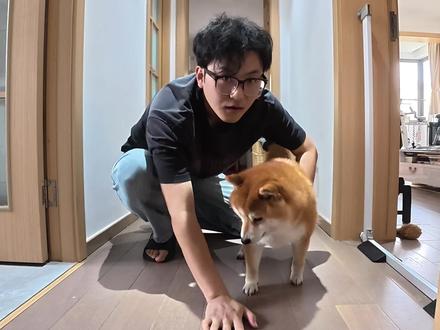 小狗怎么使用呢?我来解密 #柴犬 #萌宠出道计划 #抽象 #萌宠出道