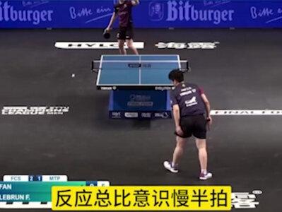 两场0比3 樊振东被挤出庆祝合照!欧冠结束后,樊振东处境让人唏嘘2