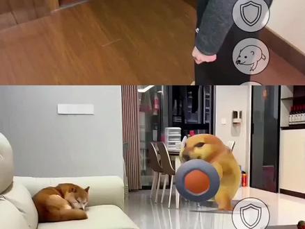 谁还有一只刀盾狗#AI刀盾狗真的太可爱了#谁还没只刀盾狗#一键做同款#剪映#刀盾狗