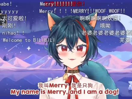 截取了merry小破站自我介绍视频中的中文介绍,7月22日他将开始第一次b限之旅#vtuber#虚拟主播#merry#merryweather #虚拟主播