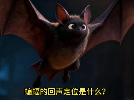 蝙蝠是如何识别方位的? 你知道吗,在黑暗的情况下,蝙蝠是用耳朵去“看”这个世界的!这套回声定位系统还被应用在飞机的雷达上#科普 #儿童科普 #儿童教育 #动画 #科普一下