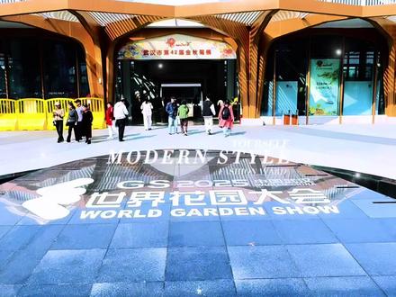 武汉市第42届金秋菊展#沙湖公园菊展#纪录美好生活