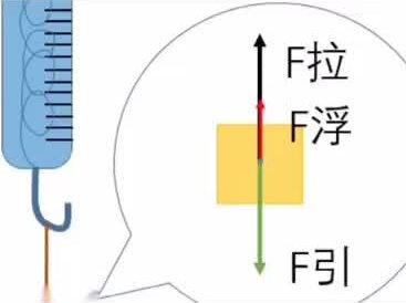1斤重的铁和棉花是不一样重#育儿 #科普
