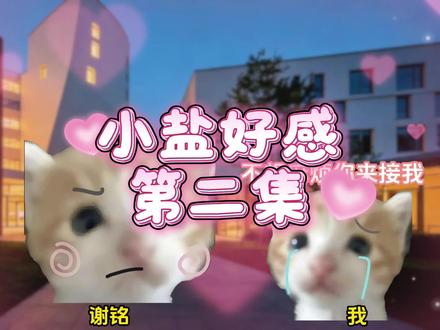《小盐好感》第二集#猫meme #超爆小故事 #网文 #强烈推荐 #梗图meme