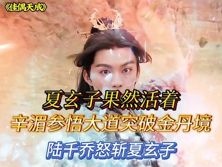 夏玄子果然没有死,辛湄参悟大道突破金丹境,陆千乔怒斩夏玄子
