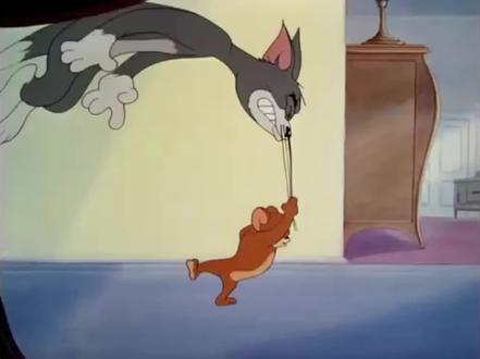 童年经典 这个我记忆颇深 #猫和老鼠