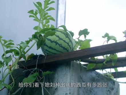又到了一年一度媳妇最阔气的日子了#vlog日常 #我的乡村生活