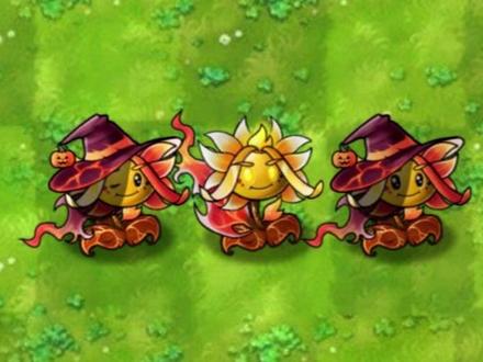 融合新植物:究极炽焰葵与魔女向日葵 #植物大战僵尸融合版