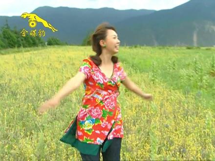 卓依婷《大地回春满庭芳》完整歌曲