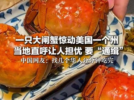一只大闸蟹惊动美国一个州 能攀爬4米混凝土墙 当地直呼让人担忧 要“通缉” 中国网友:找几个华人分分钟吃完