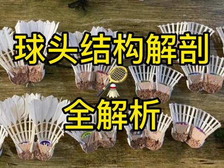 羽毛球球头大科普#羽毛球 #打羽毛球