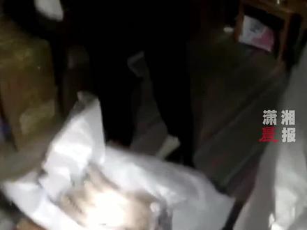 极危物种!走私2530根高鼻羚羊角案被破获,案值逾2亿元