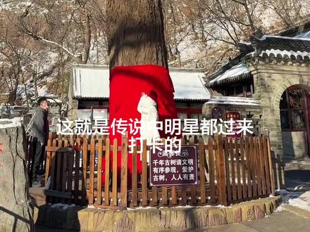 大孤山神树难怪明星都来能量确实强
攻略:香火门口不用买,里面有免费的
1.可以提前抖音团票便宜
去到了先兑换纸质票
2.上最顶上有免费面包和热水(很贴心
3.我是8:20到的先去的神树,人特别少
大部分人都是10点半左右陆陆续续上山,人多
4.大孤山你就来吧一来一个不吱声
懂得都懂‼️#大孤山 #大孤山庙 #寺庙 #爬山⛰️