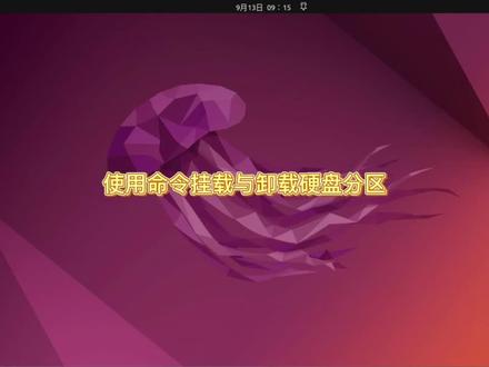 使用命令快速挂载及卸载硬盘分区#Ubuntu#LINUX#电脑技巧 #电脑 #电脑知识 #操作系统 #小技巧