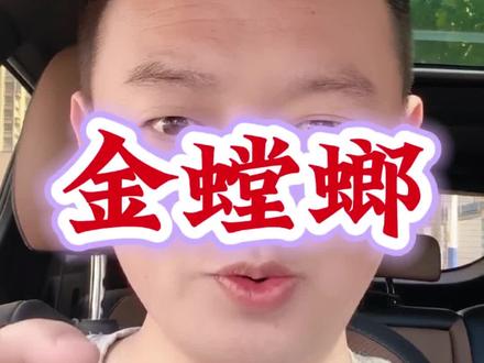 金螳螂变凤凰 出海捞金业务忙