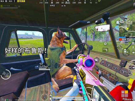 好样的布鲁斯!#和平精英丝路贺新春 #和平精英丝路敦煌