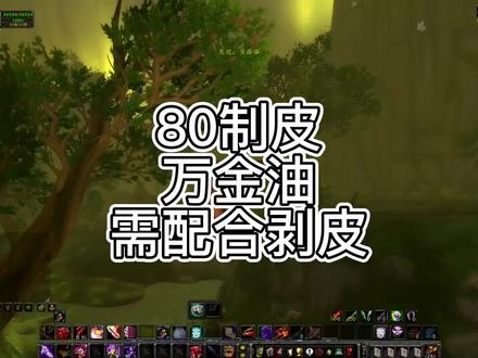 80制皮万金油攻略 #魔兽世界怀旧服 #巫妖王之怒 #制皮 #攻略 #我们比你们多一个世界 #游戏梦想家寻宝季