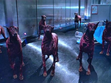 致命病毒泄露,丧尸危城的恐怖开端 #影视解说 #生化危机 #丧尸