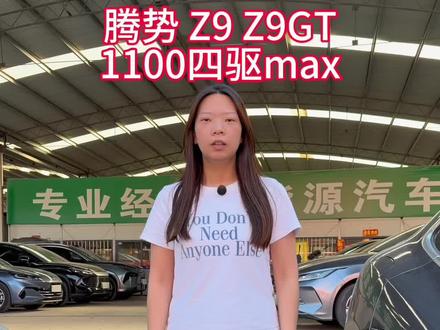 腾势Z9 Z9GT 两台车都是25年上牌都是一万多公里,原版原漆!还都是1100四驱max,你们更喜欢哪一台?#腾势 #腾势z9 #腾势z9gt #洛阳