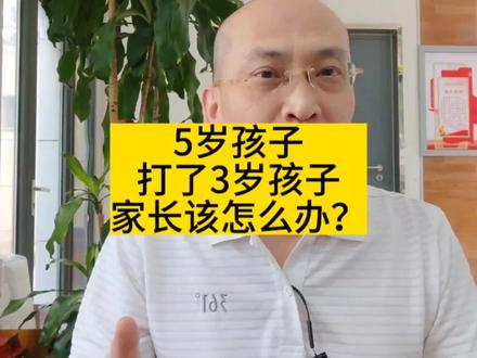 5岁孩子打了3岁孩子,家长该怎么办?
#孩子被打妈妈报警要打回去 #大v说热点 #大v说 #大v快评