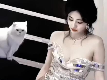 鹿鹿wwzz!!心痛鹿#白鹿无罪 @白鹿my