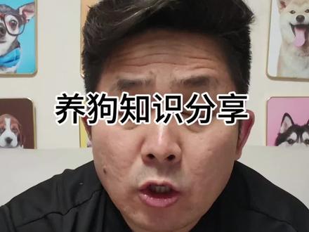 养狗知识分享#养狗知识分享