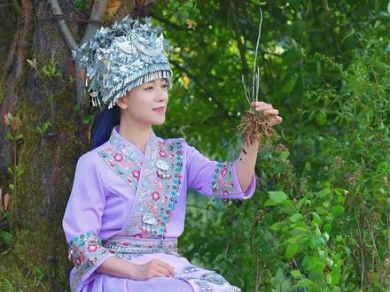 云南!我来啦!一直好奇在喝的石斛原浆是怎么做的,这次我走进高黎贡山,深入了解它来时的路!#云南 #铁皮石斛 #助农 #外来媳妇本地郎 #当我开始只买对的不买贵的
