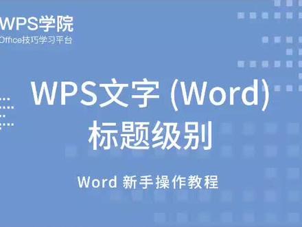 #word #wps 文字word标题级别。章节大纲功能。
