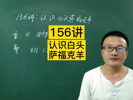 156讲:认识白头萨福克