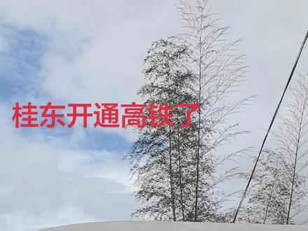 今天来寒口办业务,才知道我们桂东开通了高铁。