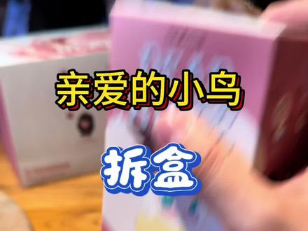 亲爱的爱情鸟无人理会 #抖音潮流玩家 #潮流玩家 #潮玩开箱大作战 #泡泡玛特 #dearbirds 只能说各有所爱吧!