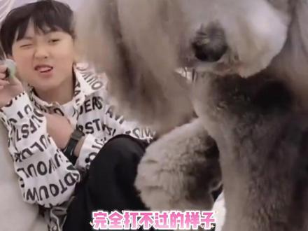 当张函瑞第一次见到左奇函家的皮皮 #张函瑞 #左奇函