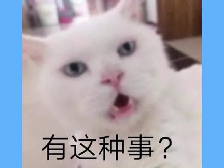 冷知识:计算器可以被带入高考考场?#高考 #数学 #上海