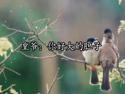 苏晏你可真敢说#再世权臣#猫耳fm