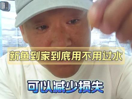 #真实生活分享计划 新鱼到家到底用不用过水?这样操作可以减少很大损失#养鱼 #养鱼日记 #养鱼养心 #养鱼人