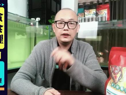 为什么我的锦鲤变色了? #金鱼 #锦鲤 #蝴蝶鲤 #养鱼 #观赏鱼 #养鱼日记 #养鱼经验 #新手养鱼