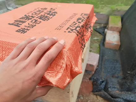 黄脚蜂王,我的培育方法#胡蜂养殖 #我的培育方法