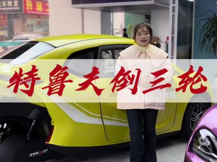 全国物流可发,纯电续航125公里,只要二万多#特鲁夫gt5#纯电车 #倒三轮汽车