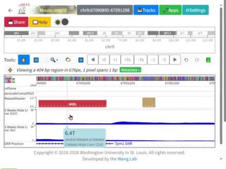 环境暴露如何影响基因?来看看这个数据库 #研究生 #毒理学 #研究生必备科研工具 #数据库 #医学生