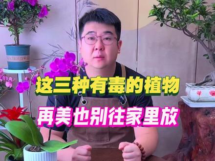 这三种花植物家里有的话一定要看好#养花小知识 #养花修心 #花卉绿植 #养花