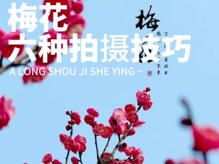 梅花开了,一学就会的拍摄技巧#梅花开啦 #手机摄影#摄影教学