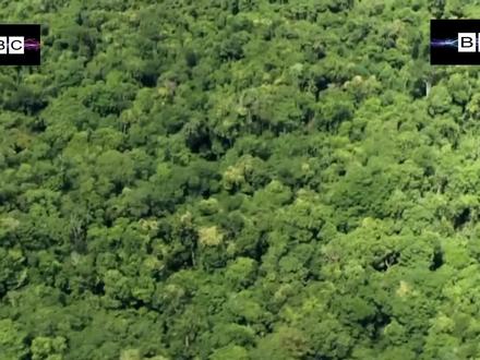 德爷 单挑荒野-- 危地马拉国语高清版