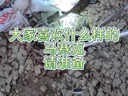 2023年消防员抓蛇连续剧(十九)(你们喜欢那种马赛克,请告诉我哦…另外你们看看袋子上写的…)#秦忠华vlog #连续剧