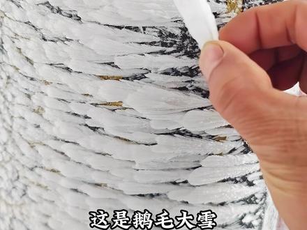 下雪啦!你们那下雪了吗?带你认识16种雪 #雪 #下雪了 #初雪 #科普 #雪地里撒欢