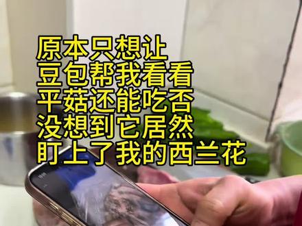 如果以后的智能体都这么好,谁还要女朋友啊!不仅能解答你的问题,还会主动找你聊天#豆包 #豆包知道 #上热门🔥 #AI识万物 #抖音美食推荐官