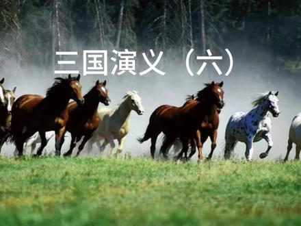 三国演义的读书笔记(六)