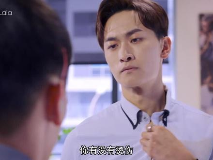 《绝对占领》(一):呆萌小秘书羊入虎口,冰山总裁攻喜遇良人
