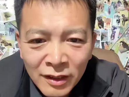 #西北刀客皮皮 皮皮又怀崽崽了,快生了才发现,给老头气的 #西北刀客